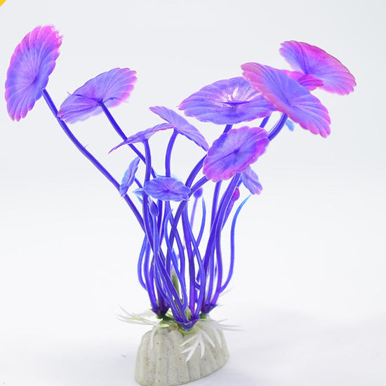 Enchanted Purple Lilly Lotus
