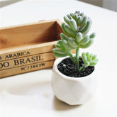 Custom Pc Build 2025 with Artificial Succulent Bonsai Ornaments