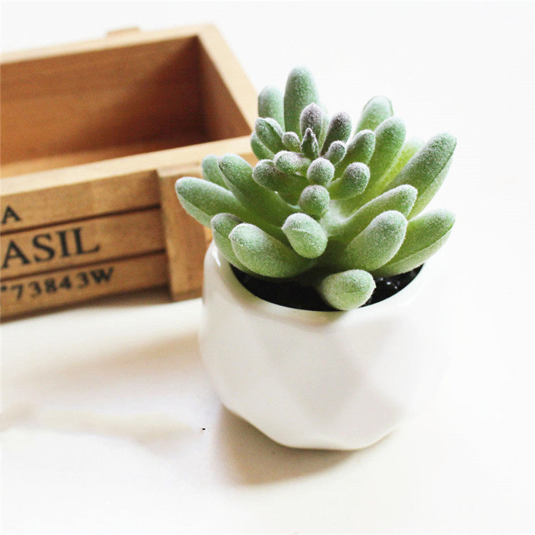 Custom Pc Build 2025 with Artificial Succulent Bonsai Ornaments