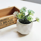 Custom Pc Build 2025 with Artificial Succulent Bonsai Ornaments