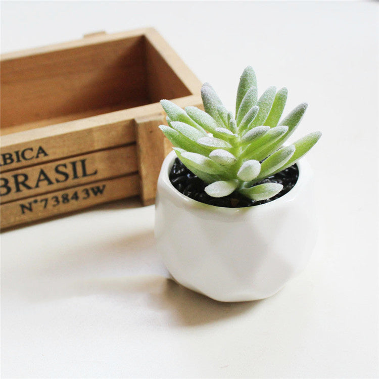 Custom Pc Build 2025 with Artificial Succulent Bonsai Ornaments