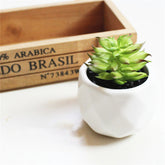 Custom Pc Build 2025 with Artificial Succulent Bonsai Ornaments