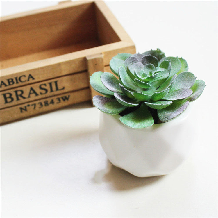Custom Pc Build 2025 with Artificial Succulent Bonsai Ornaments