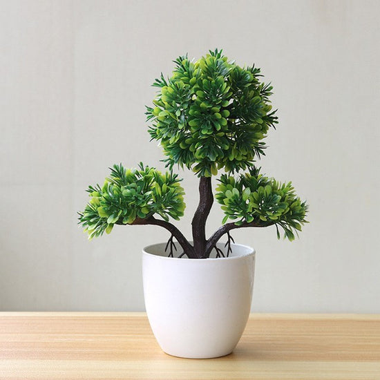 Aestaarbor Plant