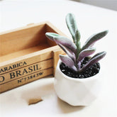 Custom Pc Build 2025 with Artificial Succulent Bonsai Ornaments