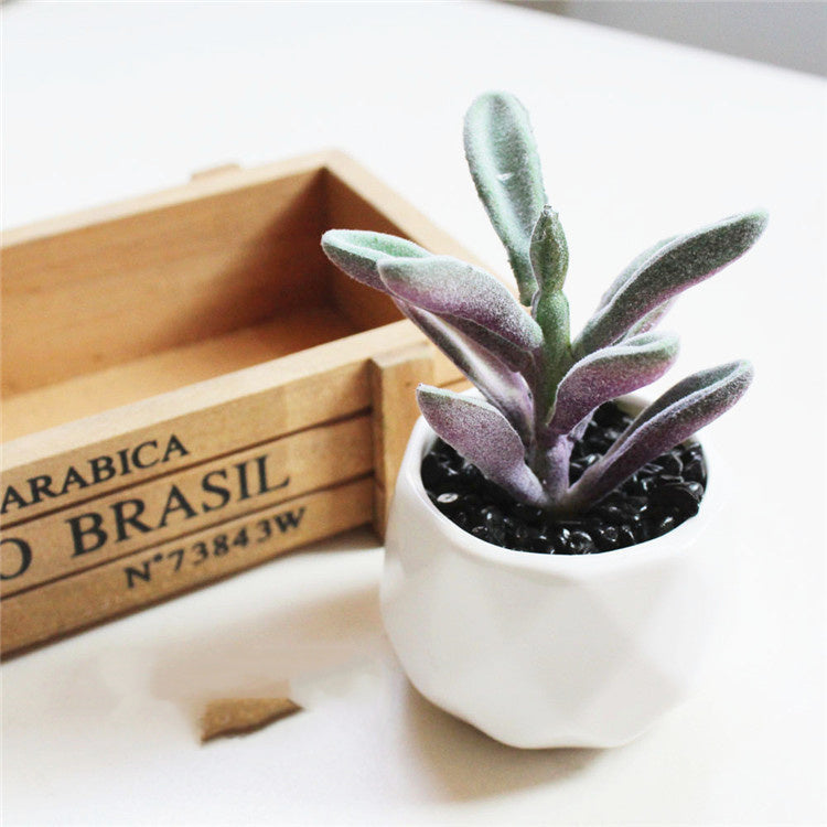 Custom Pc Build 2025 with Artificial Succulent Bonsai Ornaments