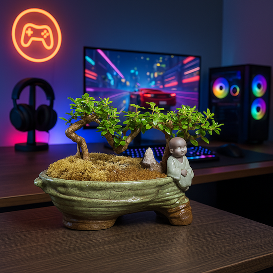 Purple Sand Succulent for Aesthetic Gaming Setup