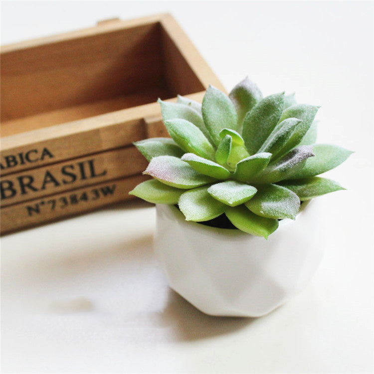 Custom Pc Build 2025 with Artificial Succulent Bonsai Ornaments