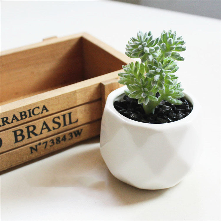 Custom Pc Build 2025 with Artificial Succulent Bonsai Ornaments
